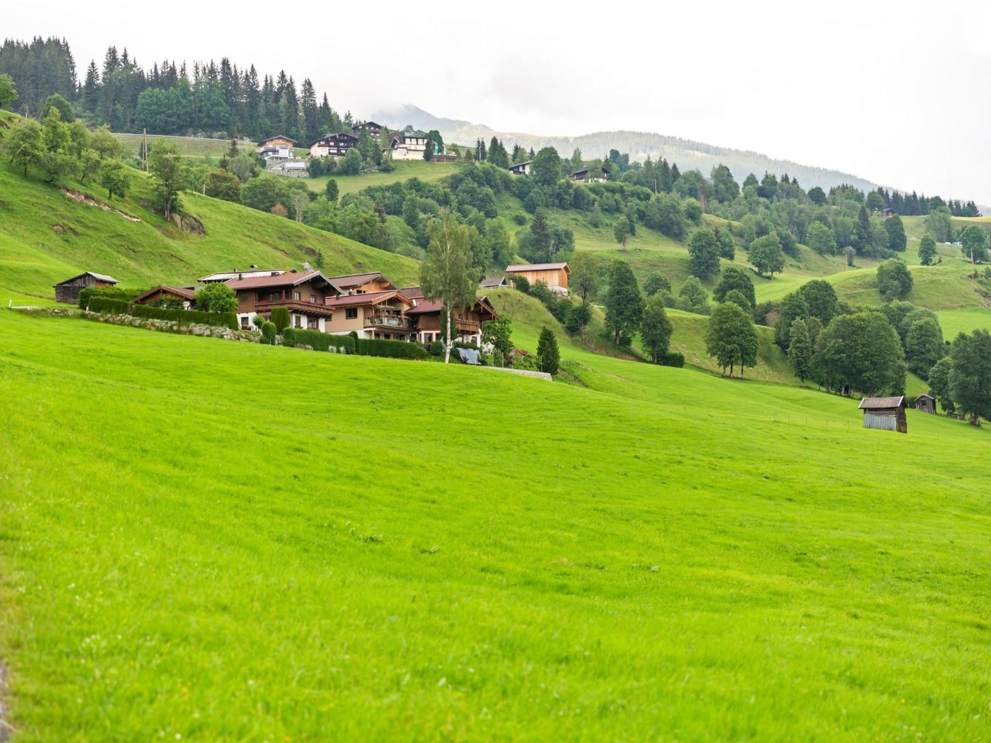 Appartement Sunlit Near Area In Hollersbach im Pinzgau