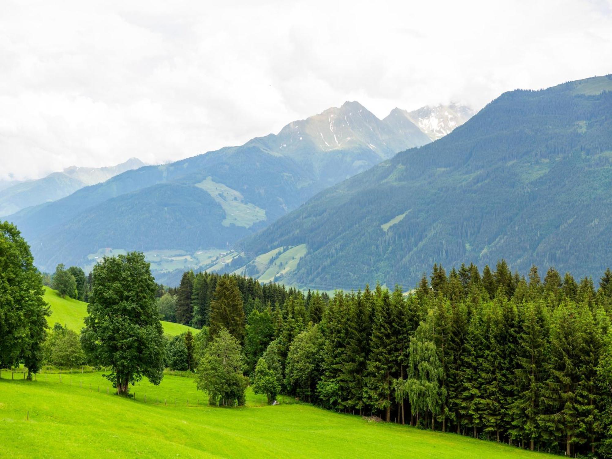 Sunlit Near Area In Appartement Hollersbach im Pinzgau